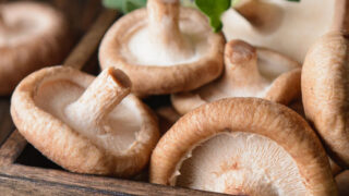Shii Mushroom